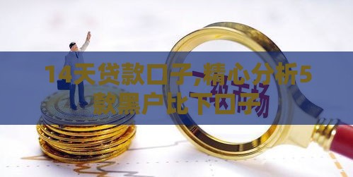 14天贷款口子,精心分析5款黑户比下口子