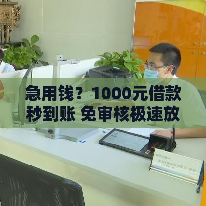 急用钱？1000元借款秒到账 免审核极速放款