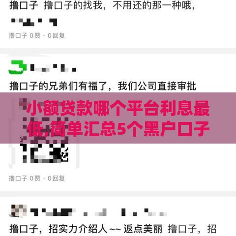 小额贷款哪个平台利息最低,简单汇总5个黑户口子是啥意思