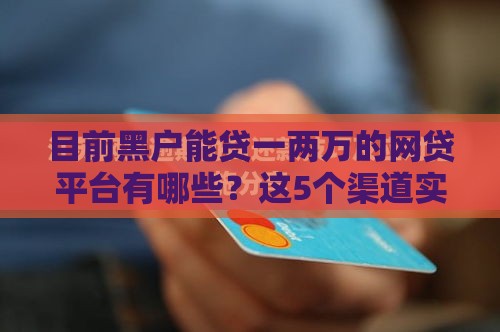 目前黑户能贷一两万的网贷平台有哪些？这5个渠道实测有效