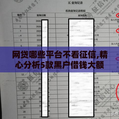 网贷哪些平台不看征信,精心分析5款黑户借钱大额口子