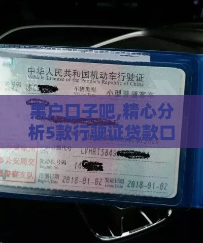 黑户口子吧,精心分析5款行驶证贷款口子黑户