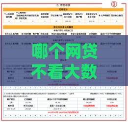 哪个网贷不看大数据不看征信,全网收集5个黑户七天高炮口子