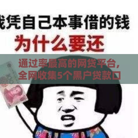 通过率最高的网贷平台,全网收集5个黑户贷款口子不还