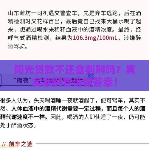 阳光贷款不还会判刑吗？真实案例告诉你答案！