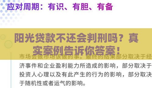 阳光贷款不还会判刑吗？真实案例告诉你答案！