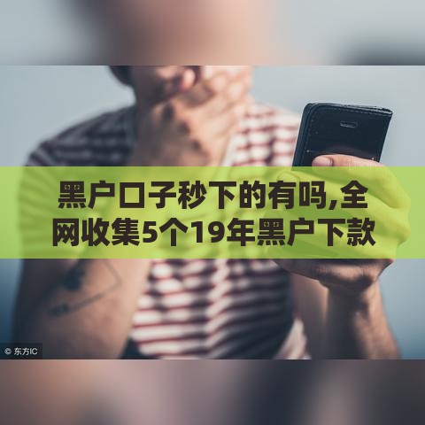 黑户口子秒下的有吗,全网收集5个19年黑户下款口子