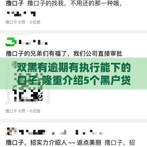 双黑有逾期有执行能下的口子,隆重介绍5个黑户贷款9月口子