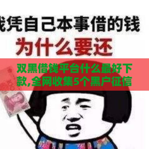 双黑借钱平台什么最好下款,全网收集5个黑户征信黑的口子