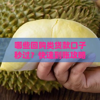 哪些回购类贷款口子秒过？快速到账攻略全解析