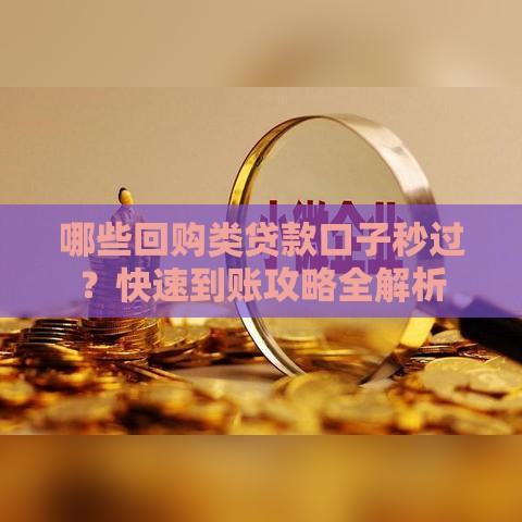 哪些回购类贷款口子秒过？快速到账攻略全解析