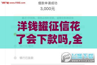 洋钱罐征信花了会下款吗,全网收集5个黑户网贷口子分享