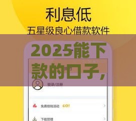 2025能下款的口子,整合5款黑户口子秒下的
