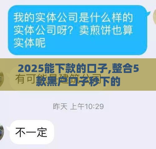 2025能下款的口子,整合5款黑户口子秒下的