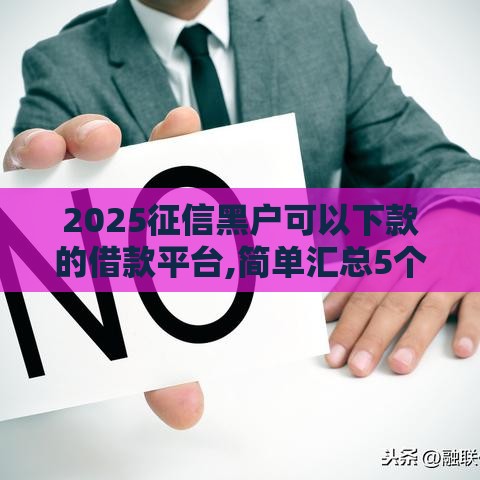 2025征信黑户可以下款的借款平台,简单汇总5个哪有黑户贷款的口子