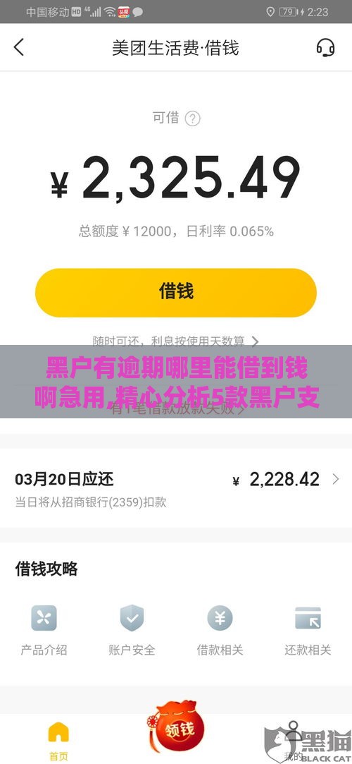 黑户有逾期哪里能借到钱啊急用,精心分析5款黑户支付宝逾期口子