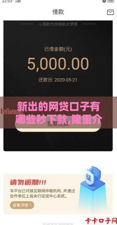 新出的网贷口子有哪些秒下款,隆重介绍5个现金巴士黑户口子