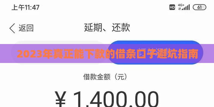 2023年真正能下款的借条口子避坑指南