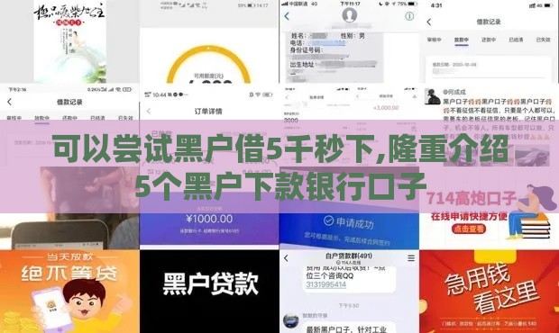 可以尝试黑户借5千秒下,隆重介绍5个黑户下款银行口子