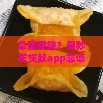 急需用钱？易秒花贷款app靠谱吗？实测这几点必须看！