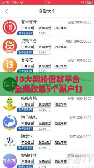 10大网络借款平台,全网收集5个黑户打借条口子