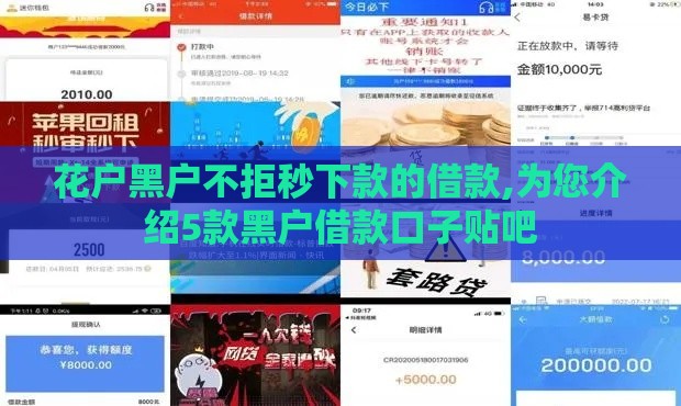 花户黑户不拒秒下款的借款,为您介绍5款黑户借款口子贴吧