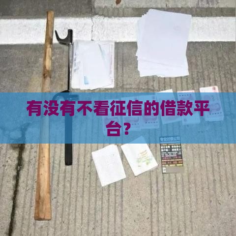 有没有不看征信的借款平台？