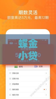 蝶金小贷下款容易嘛,整合5款黑户口子包下款