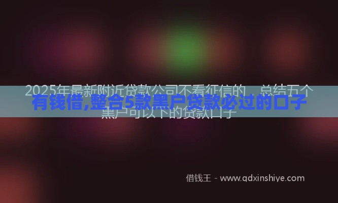 有钱借,整合5款黑户贷款必过的口子