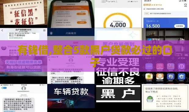 有钱借,整合5款黑户贷款必过的口子