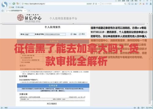 征信黑了能去加拿大吗?贷款审批全解析 征信黑了能去加拿大吗?贷款审批全解析