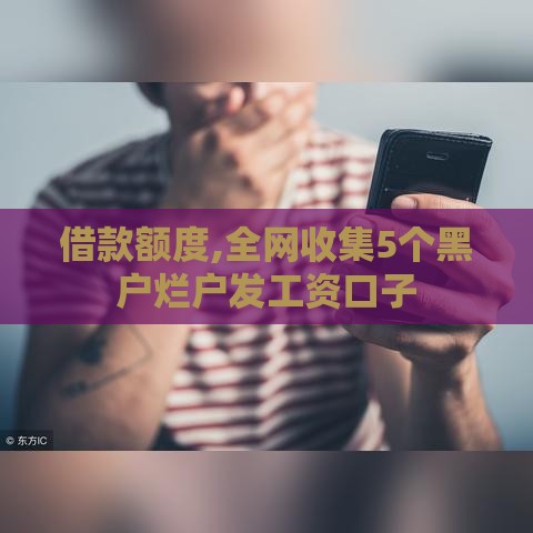 借款额度,全网收集5个黑户烂户发工资口子