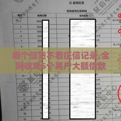 哪个信贷不看征信记录,全网收集5个黑户大额借款口子
