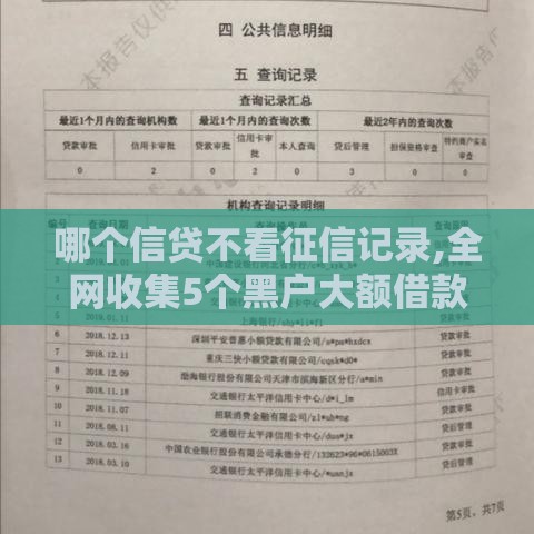 哪个信贷不看征信记录,全网收集5个黑户大额借款口子