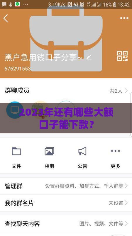 2023年还有哪些大额口子能下款？