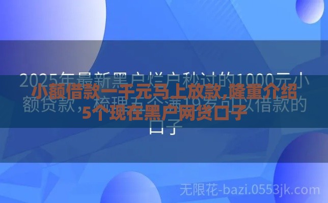小额借款一千元马上放款,隆重介绍5个现在黑户网贷口子