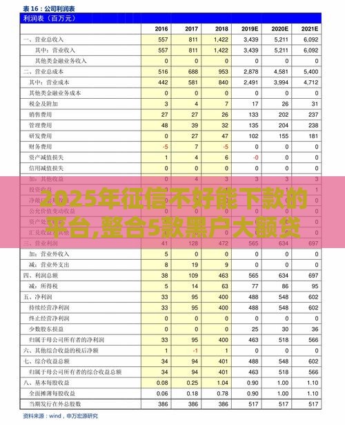 2025年征信不好能下款的平台,整合5款黑户大额贷款新口子