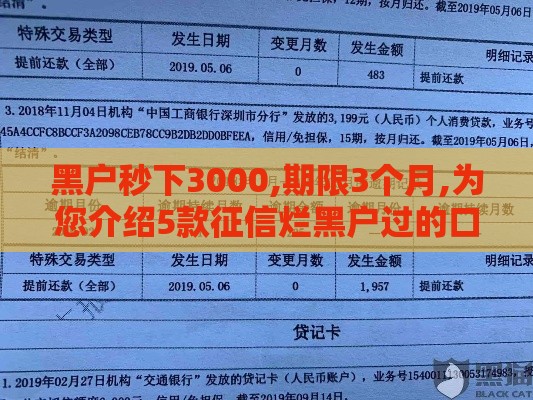 黑户秒下3000,期限3个月,为您介绍5款征信烂黑户过的口子