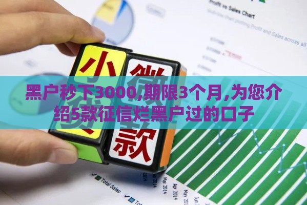 黑户秒下3000,期限3个月,为您介绍5款征信烂黑户过的口子