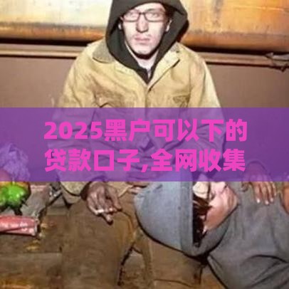 2025黑户可以下的贷款口子,全网收集5个黑户3000元口子