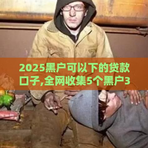 2025黑户可以下的贷款口子,全网收集5个黑户3000元口子