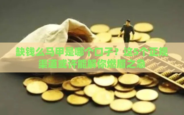 缺钱么马甲是哪个口子？这5个正规渠道或许能解你燃眉之急