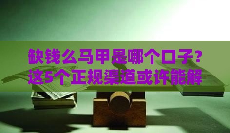 缺钱么马甲是哪个口子？这5个正规渠道或许能解你燃眉之急