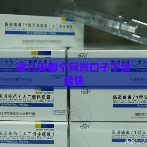 这几天哪个网贷口子下款最快