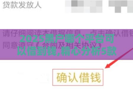 2025黑户哪个平台可以借到钱,精心分析5款有没有最新黑户口子