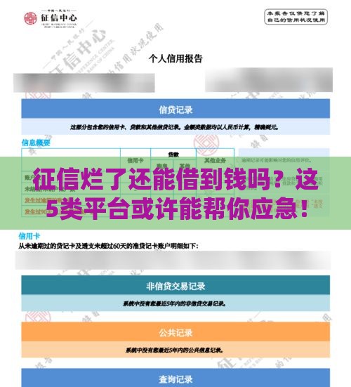 征信烂了还能借到钱吗？这5类平台或许能帮你应急！