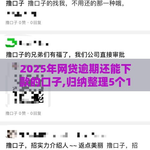 2025年网贷逾期还能下款的口子,归纳整理5个19年黑户贷款口子
