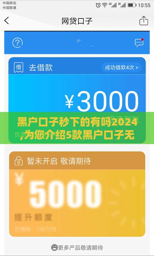 黑户口子秒下的有吗2024,为您介绍5款黑户口子无视芝麻分
