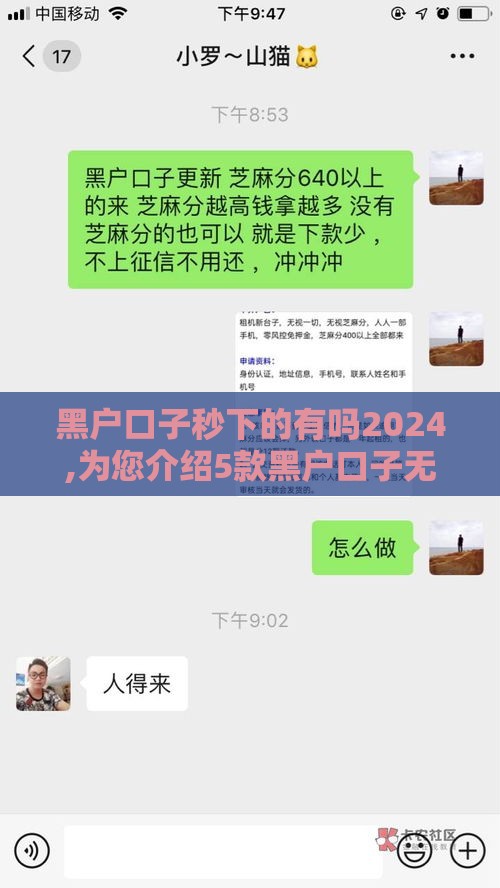 黑户口子秒下的有吗2024,为您介绍5款黑户口子无视芝麻分