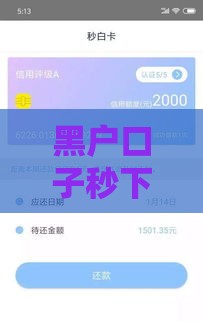 黑户口子秒下的有吗2024,为您介绍5款黑户口子无视芝麻分